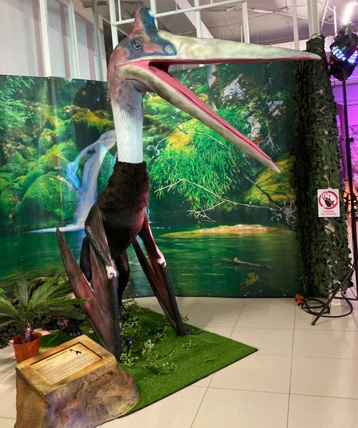 Источник: «Динозавры в городе»