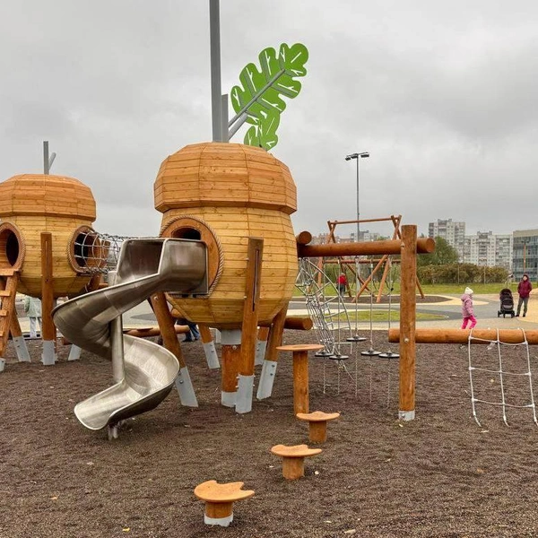 Источник: Питерский Следком / Telegram