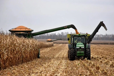 Рекордный урожай в Рязанской области впервые за 30 лет