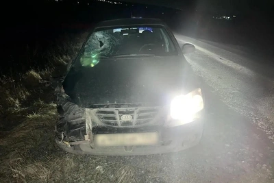 Пешехода насмерть сбили в Воронежской области