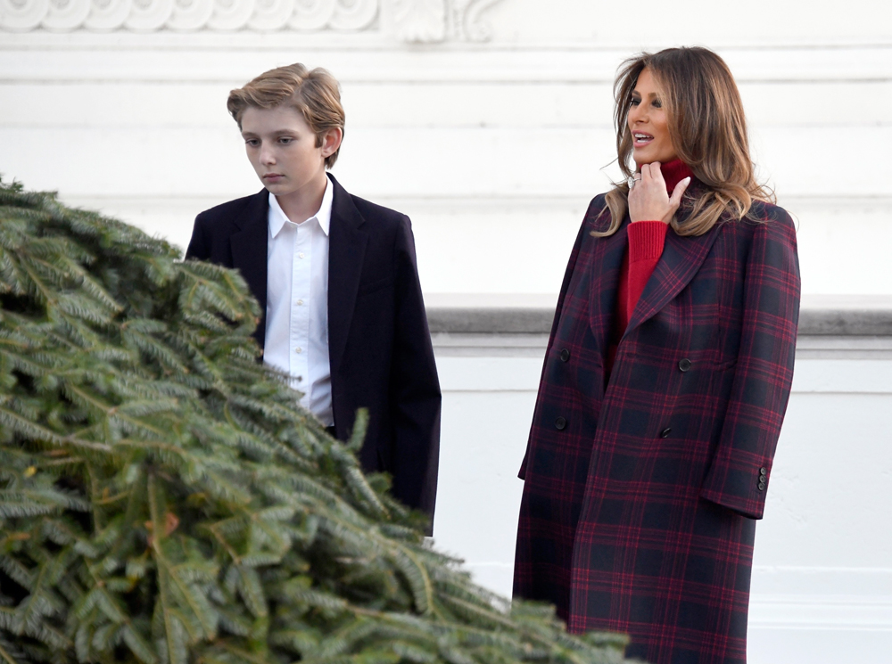 Мелания Трамп с сыном встретили рождественскую елку | marieclaire.ru