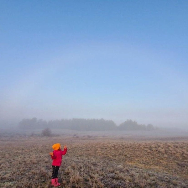 Туманная радуга | Источник: https://t.me/shkabel