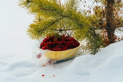 Сибирский десерт: два варианта от блогера из Иркутска