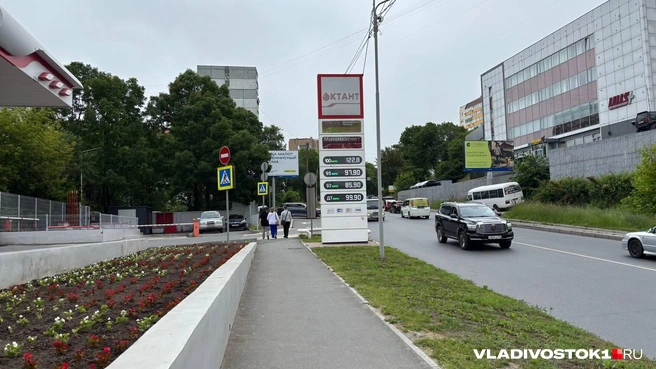 Источник: Елена Буйвол / VLADIVOSTOK1.RU