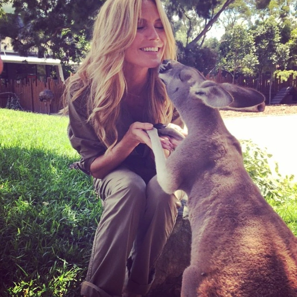 Источник: @heidiklum