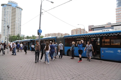 Власти Ростова планируют купить 20 автобусов-гармошек