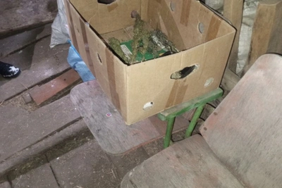 Полиция Мордовии изъяла около 90 граммов марихуаны