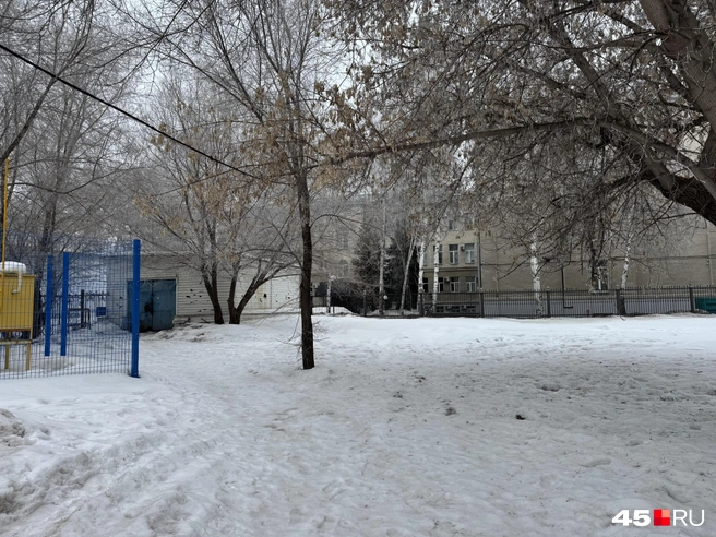 Источник: Юлия Король