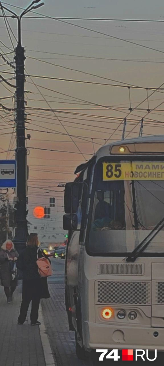 В дебрях города | Источник: читатель 74.RU