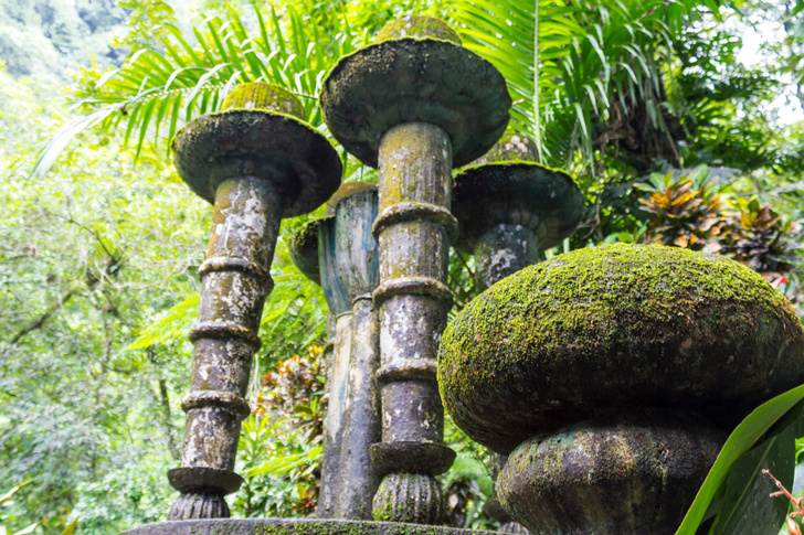 Сотворение Эдема: как английский поэт создал сюрреалистический сад в джунглях Мексики