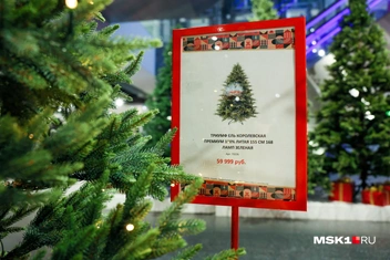 Зато новое | Источник: Артем Устюжанин / MSK1.RU