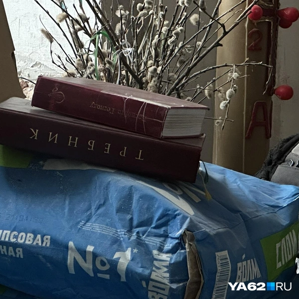 Сейчас костёл на Щедрина реставрируют | Источник: Виктория Улитова / YA62.RU