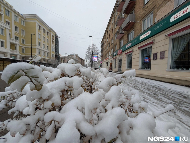Давно ли вы видели в центре так много снега? | Источник: Мария Ленц / NGS24.RU