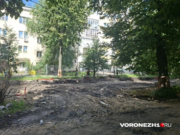 Источник: Алёна Воропаева / Voronezh1.ru