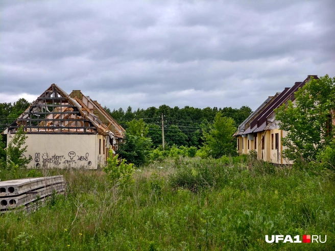 Красиво и грустно стоят | Источник: Булат Салихов / UFA1.RU