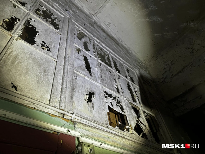 Источник: Алина Мельникова / MSK1.RU