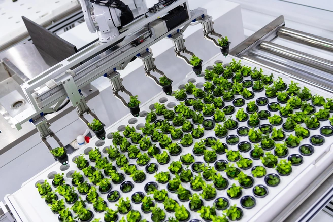 Источник: Shutterstock.com