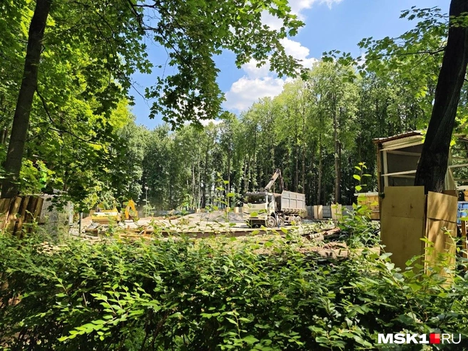 Жители опасаются, что в будущем эту территорию отдадут под застройку жилыми объектами | Источник: Анастасия Харитонова / MSK1.RU
