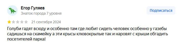 Пользователя очень расстроило наличие голубей на открытом-то воздухе | Источник: «Яндекс. Карты»