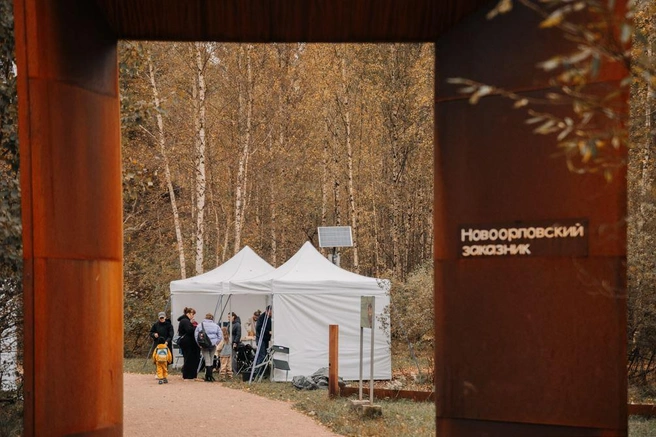 «Ленстройтрест» в рамках проекта «Заповедная школа» провёл эко-субботник в Новоорловском заказнике | Источник: гк «Ленстройтрест»