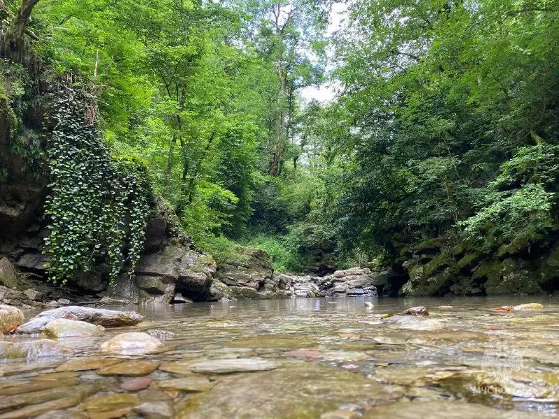 Турист в Сочи заблудился у водопадов и вызвал спасателей