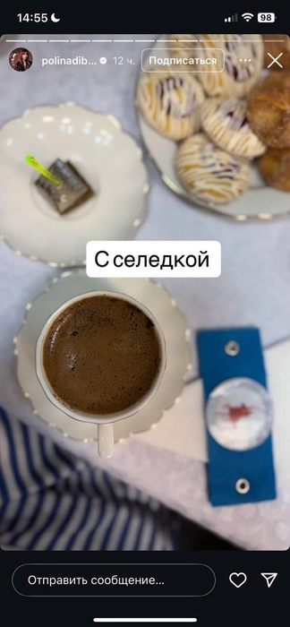 Источник: polinadibrova / Instagram.com* (экстремистская организация, деятельность запрещена на территории РФ)