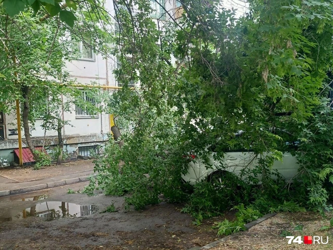 Размер ущерба пока неизвестен, но краска явно пострадала | Источник: читатель 74.RU