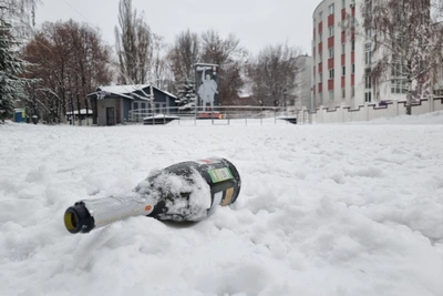 Нижнеудинец получил 18 лет за убийство бутылкой шампанского