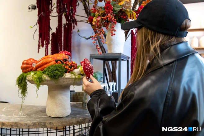 А вот грибочек поменьше  | Источник: Мария Ленц / NGS24.RU 