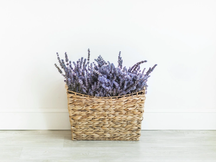 Высушенная лаванда