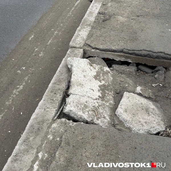 Источник: Елена Буйвол / VLADIVOSTOK1.RU