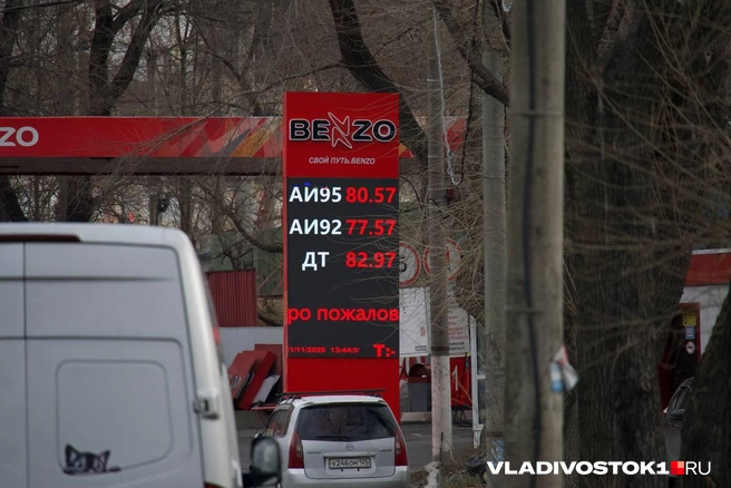 Источник: Елена Буйвол / VLADIVOSTOK1.RU