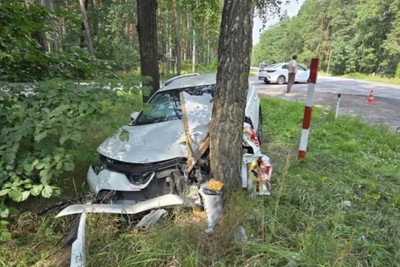 Женщина на Toyota врезалась в дерево в Грязинском округе