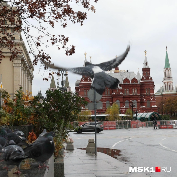 Источник: Артем Устюжанин / MSK1.RU 