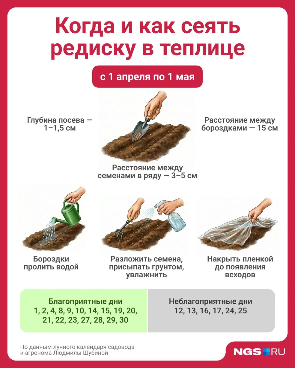 Источник: Семен Казьмин / Городские медиа