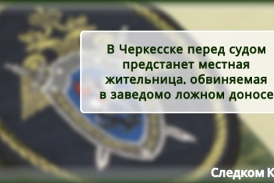 Жительницу Черкесска будут судить за ложный донос