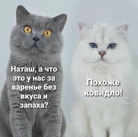 И немного варенья :-) Здравствуйте, уважаемые, Приятного, времени, суток