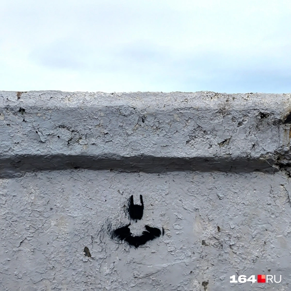 Источник: Сергей Гендин / 164.RU