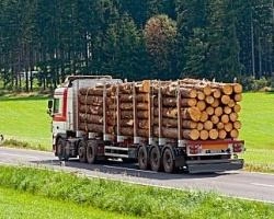 В Красноярском крае усилят контроль за транспортировкой древесины | ngs24.ru