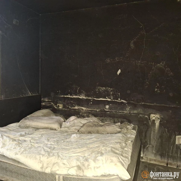 Источник: Ирина Багликова / «Фонтанка.ру»