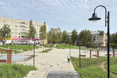 В сквере «Юбилейный» высадят 200 деревьев и кустарников