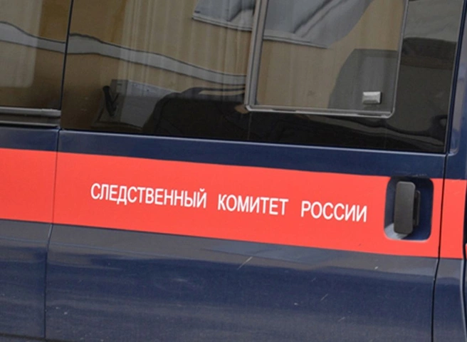 Жительница Сасова подозревается в убийстве сожителя | ya62.ru