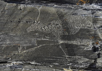 Археологи создали карту чукотских петроглифов