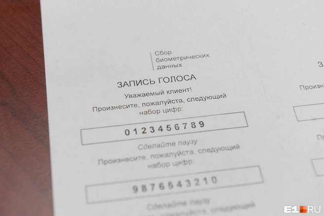 Сервис внедряют не только для оплаты покупок | Источник: Артём Устюжанин / E1.RU