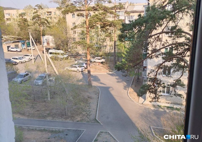Источник: очевидец