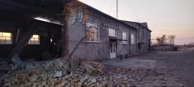 На месте работают специалисты | Источник: vdk_tiger_vladivostok25 / Telegram