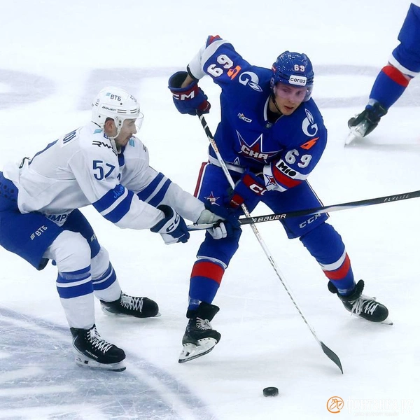 Источник: Дарья Драй / «Фонтанка.ру»