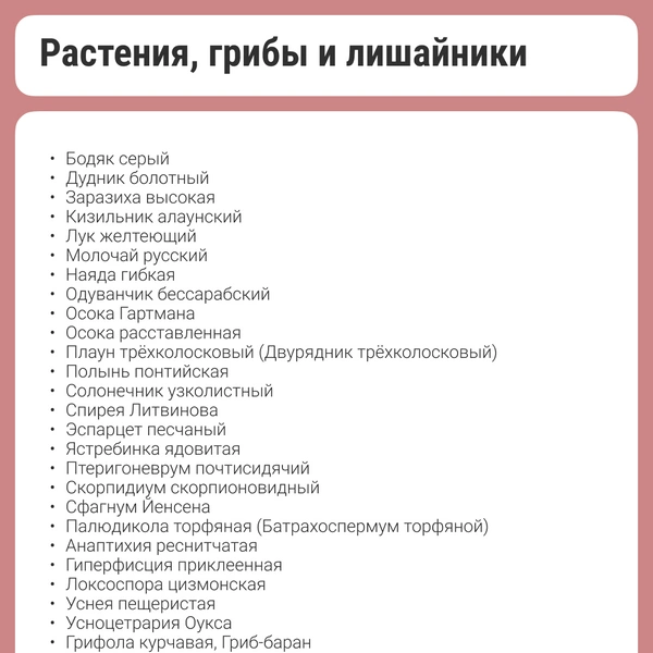 Источник: Кристина Калинина / NN.RU