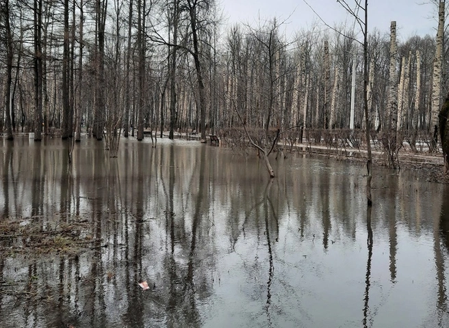 В Рязани парк Гагарина залило водой | ya62.ru