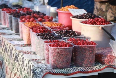 28 марта в Чите на площади Труда состоится ярмарка